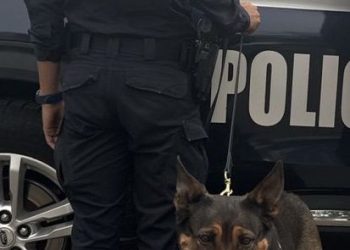 K-9 de la PESP consolida resultados en acciones de prevención y vigilancia