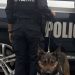 K-9 de la PESP consolida resultados en acciones de prevención y vigilancia