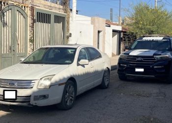 Destaca unidad K-9 de la Policía Estatal en acciones contra el delito