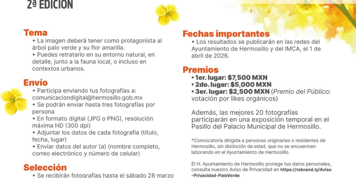 Invita Gobierno de Hermosillo a participar en la segunda edición del concurso de fotografía “El Sol del Desierto”