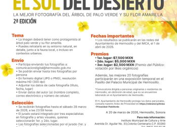 Invita Gobierno de Hermosillo a participar en la segunda edición del concurso de fotografía “El Sol del Desierto”
