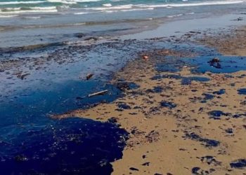 Advierten desastre: derrame alcanza 630 km en el Golfo