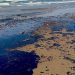 Advierten desastre: derrame alcanza 630 km en el Golfo