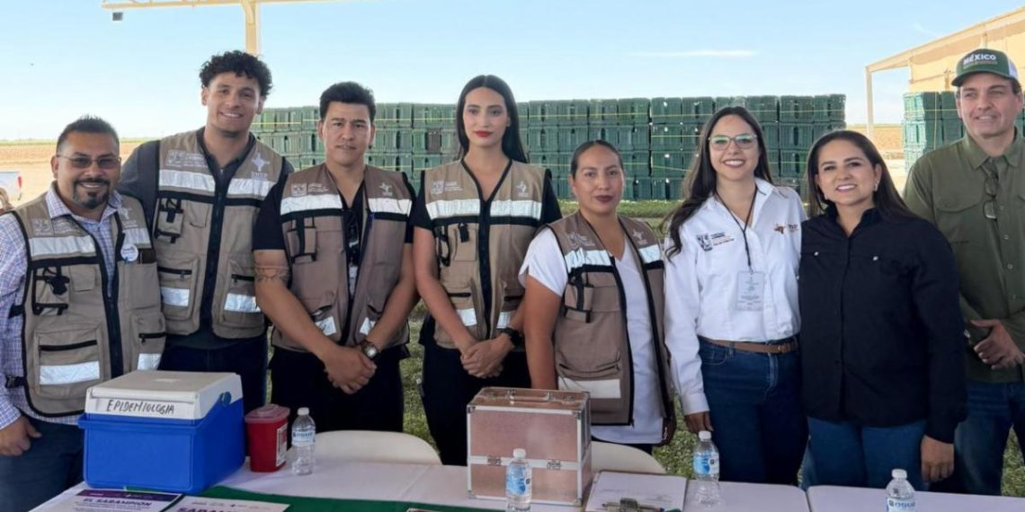 Gobierno de Sonora refuerza vacunación contra sarampión en campos agrícolas para proteger a jornaleros
