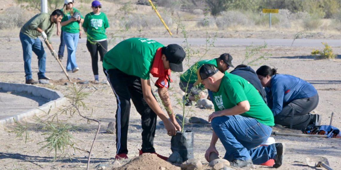 Realiza Ayuntamiento de Hermosillo y sociedad civil megaintervención en Ecoparque