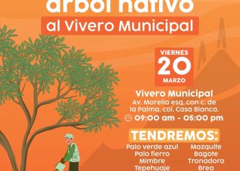 Este viernes 20 el Vivero Municipal donará árboles nativos