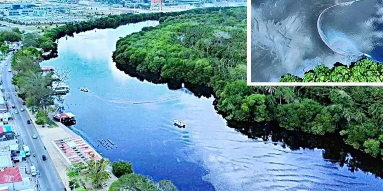 Sheinbaum subraya que Pemex no es responsable de derrame en el Golfo de México; FGR ya investiga