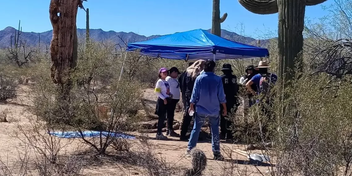 Hallan restos óseos humanos en desierto de Sonoyta; investigan posible fosa clandestina