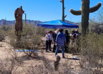 Hallan restos óseos humanos en desierto de Sonoyta; investigan posible fosa clandestina