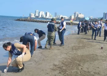Retiran más de 430 toneladas de hidrocarburos en costas del Golfo de México
