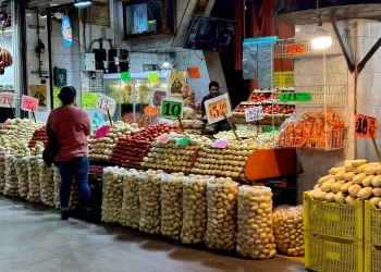 Precios mundiales de alimentos repuntan en febrero tras meses de caídas: FAO