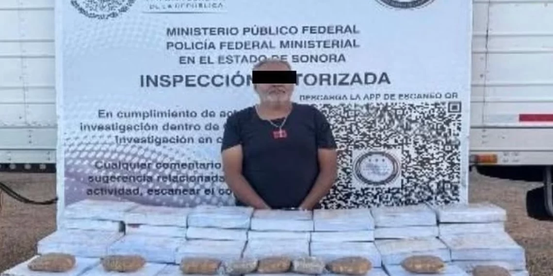Llevaba tráiler cargamento de droga; lo interceptan en Caborca