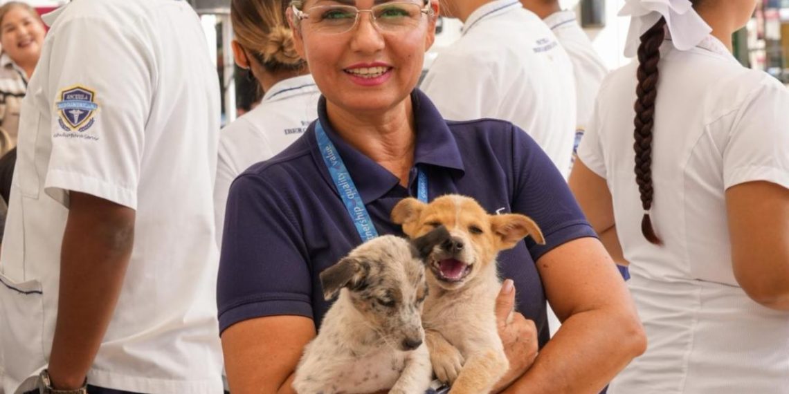 Impulsa Gobierno de Sonora esterilización de mascotas con módulos de zoonosis