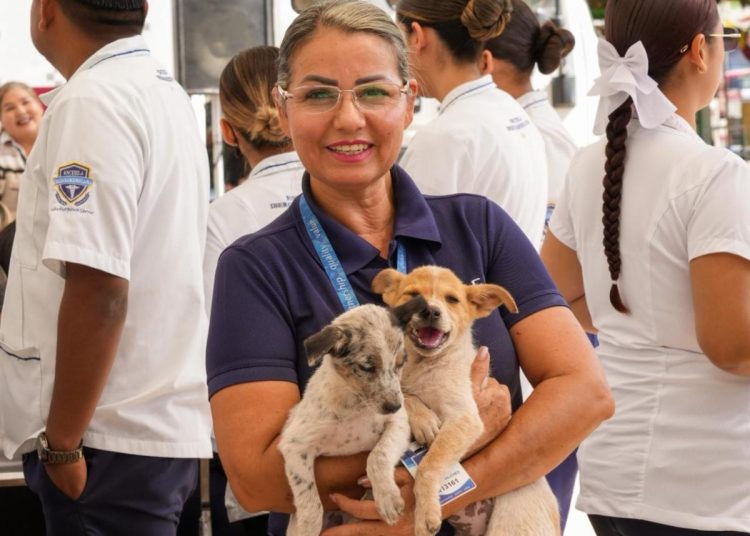 Impulsa Gobierno de Sonora esterilización de mascotas con módulos de zoonosis