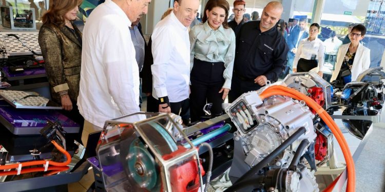 Borrador automático