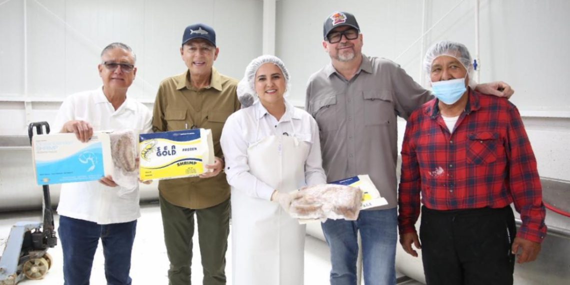 Gobierno de Sonora impulsa comercialización de curvina golfina para fortalecer economía pesquera