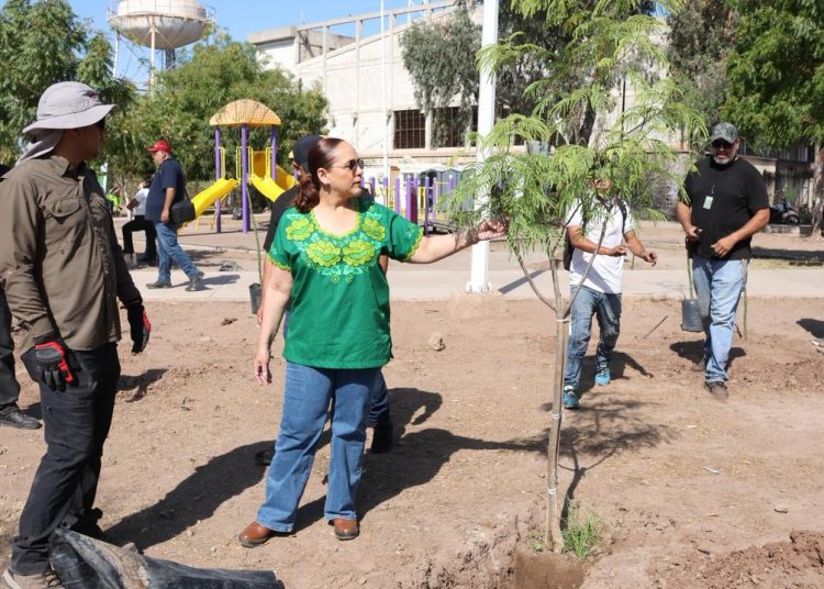 Realizan Jornada Nacional de Tequios por la Tierra y Murales Mundialistas
