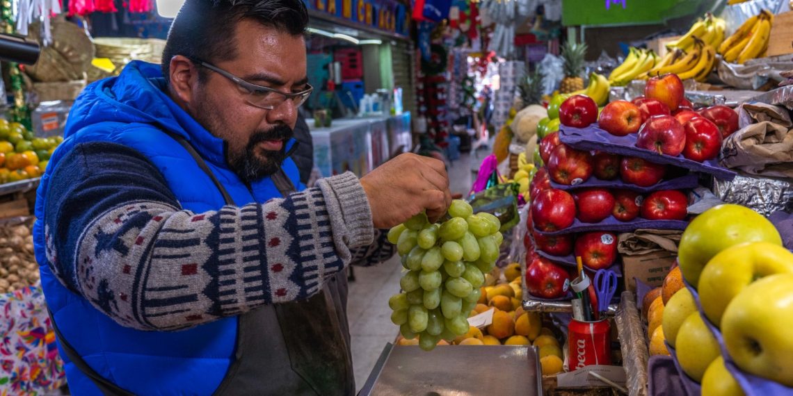 SADER Sonora estima producción de 16 millones de cajas de uva de mesa en Hermosillo, 10% más que en 2025