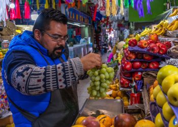 SADER Sonora estima producción de 16 millones de cajas de uva de mesa en Hermosillo, 10% más que en 2025