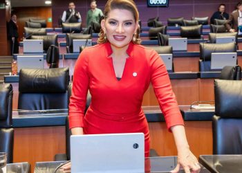 Destaca Lorenia Valles resultados de cierre de periodo en el Senado