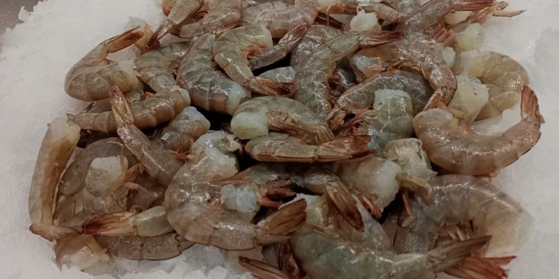 Recomienda Isssteson cuidar el estado de los alimentos en Semana Mayor