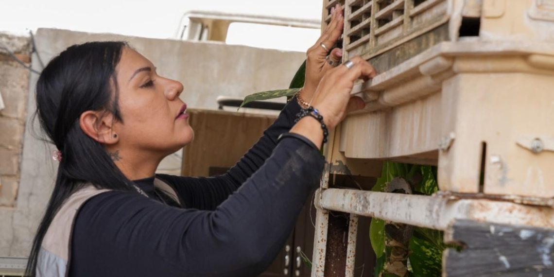 Salud Sonora llama a mantener hogares limpios para prevenir dengue y rickettsia