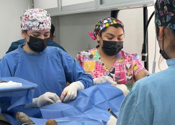 Brinda Gobierno del Estado servicios de bienestar animal y ambiental en Agua Prieta