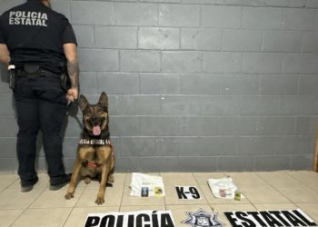 Trabajo especializado de K-9 de la PESP permite detectar envíos ilícitos