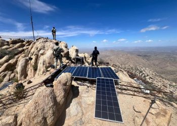 Trabajo conjunto permite asegurar infraestructura utilizada para actividades ilícitas: PESP