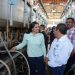 Gobierno de Sonora fortalece la productividad lechera con programa de mejoramiento genético