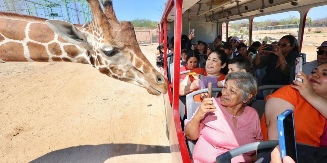 Gobierno de Sonora registra alta afluencia en el Centro Ecológico durante Semana Santa