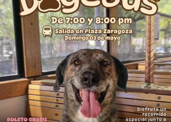 Invita Gobierno de Hermosillo a un paseo diferente en el “DogeBus”