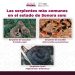 Llama Secretaría de Salud a prevenir afectaciones por mordedura de serpiente