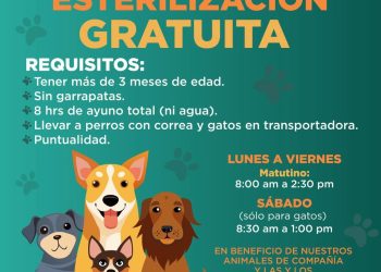 Mantiene agenda abierta Ayuntamiento de Hermosillo para esterilizaciones gratuitas para perros y gatos