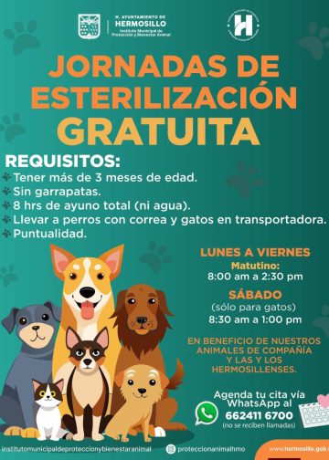Mantiene agenda abierta Ayuntamiento de Hermosillo para esterilizaciones gratuitas para perros y gatos