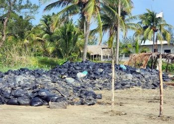 Recogen chapopote, pero lo abandonan en bolsas en Veracruz