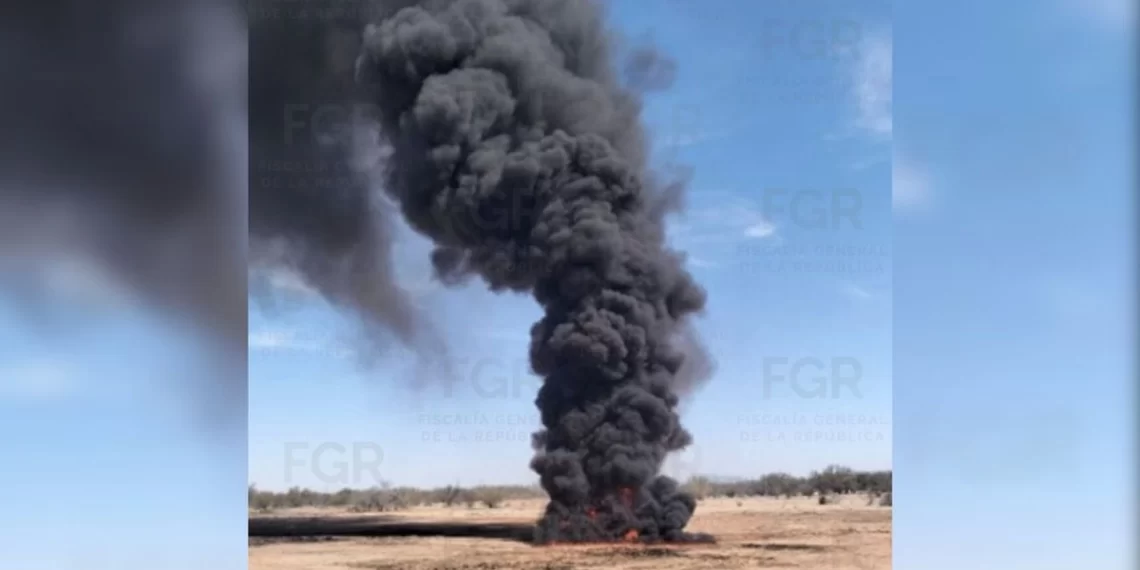 FGR incinera más de 832 kilos de estupefacientes 