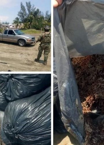 Bolsas abandonadas en Veracruz son de sargazo: Semar