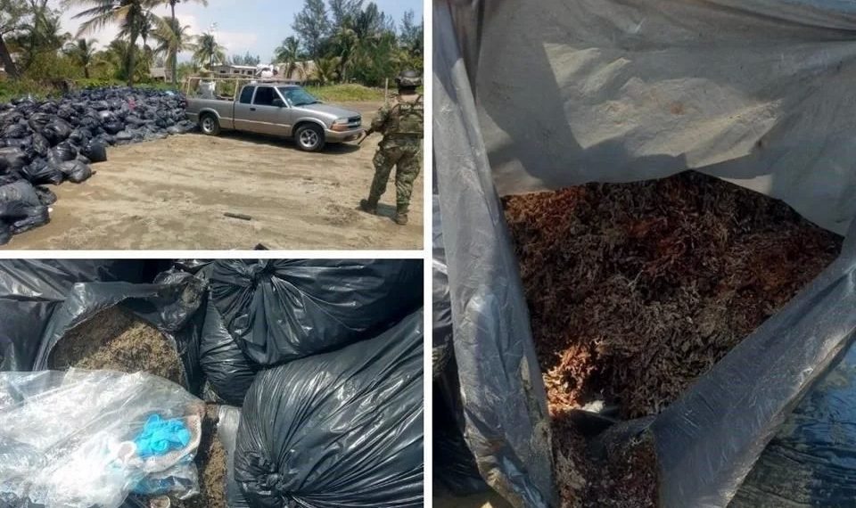 Bolsas abandonadas en Veracruz son de sargazo: Semar