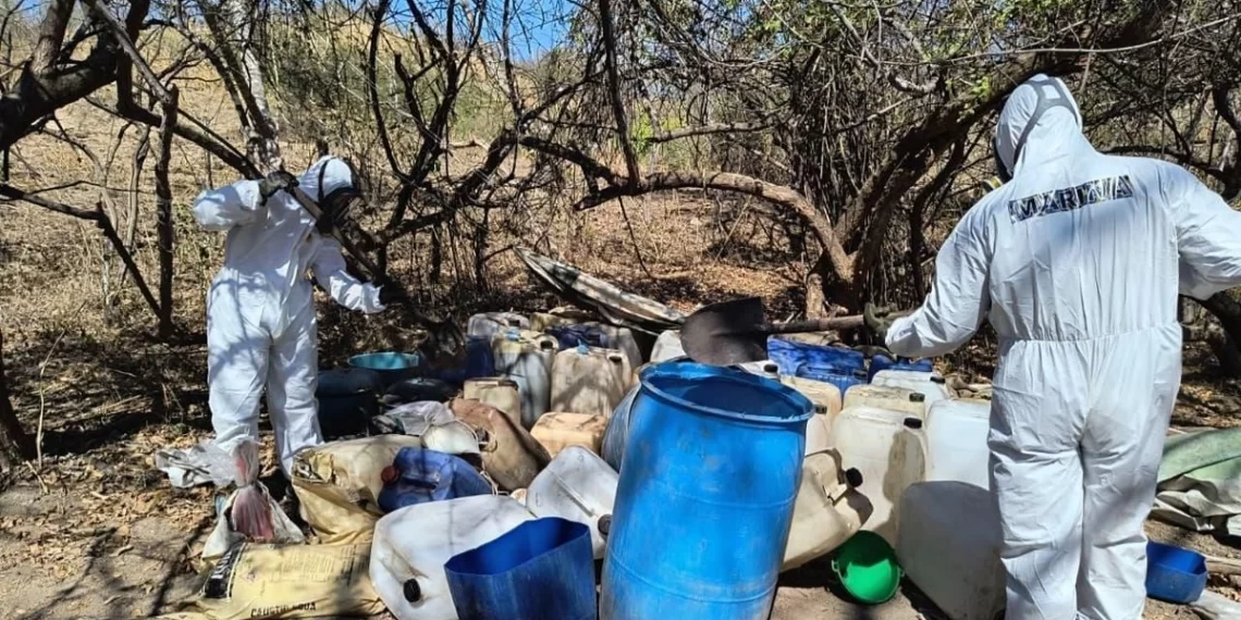 Semar desmantela ‘narcolaboratorio’, presuntamente del cártel de Sinaloa, en Cosalá