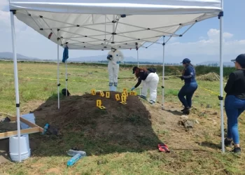 Colectivos y madres buscadoras hallan más de 200 restos óseos en Tláhuac y Chalco