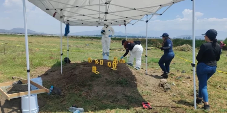 Colectivos y madres buscadoras hallan más de 200 restos óseos en Tláhuac y Chalco