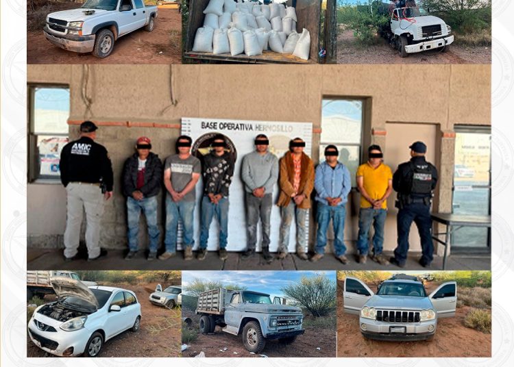 Operativo conjunto AMIC-DEFENSA-PESP captura a siete personas por robo a tren en Santa Ana