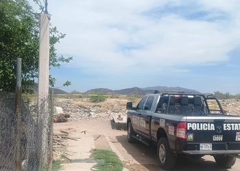 Hallan cadáver de mujer tirado en baldío en la colonia Arboleda