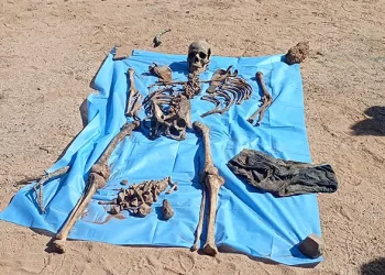 Localizan tres osamentas humanas en Benjamín Hill