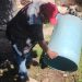 Refuerza Salud Sonora acciones contra el dengue tras lluvias en el estado