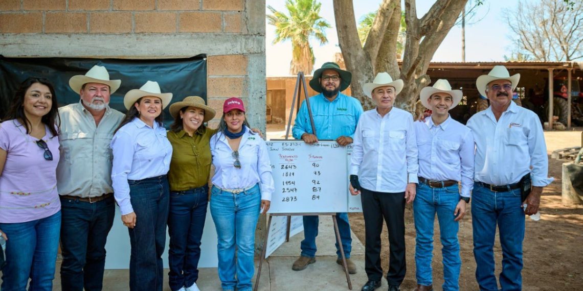 Gobernador Durazo y Sader garantizan apoyo al campo sonorense con estrategia de reconversión de cultivos