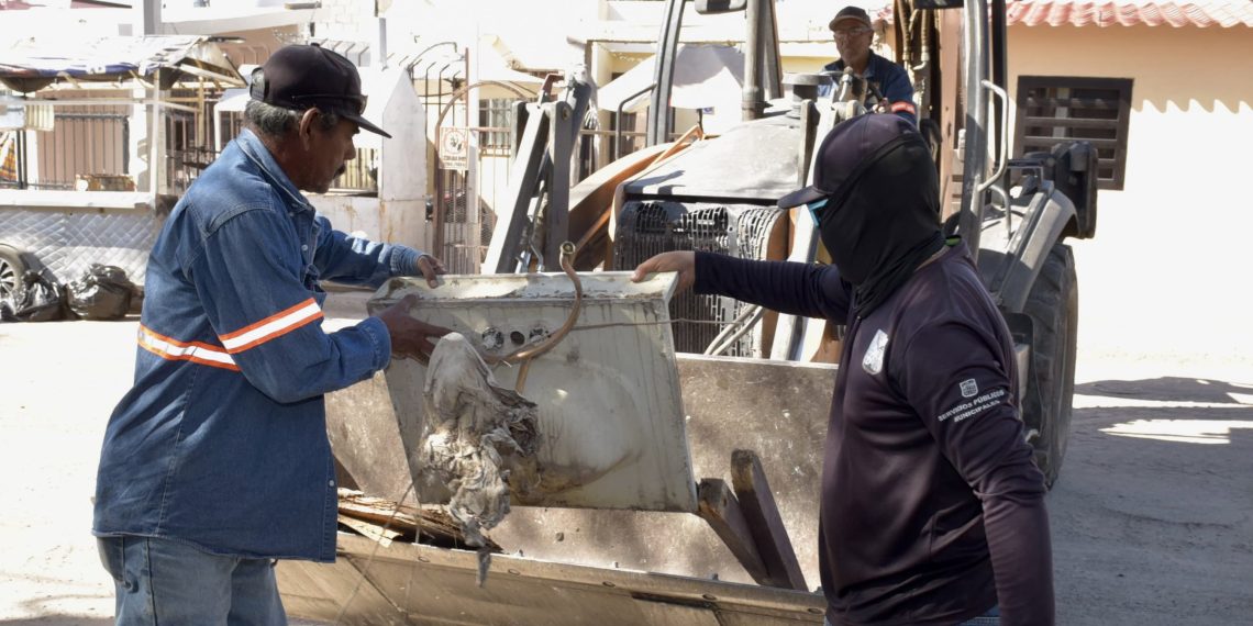 levará Ayuntamiento de Hermosillo jornadas de descacharre a cinco colonias más durante mayo