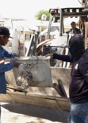levará Ayuntamiento de Hermosillo jornadas de descacharre a cinco colonias más durante mayo