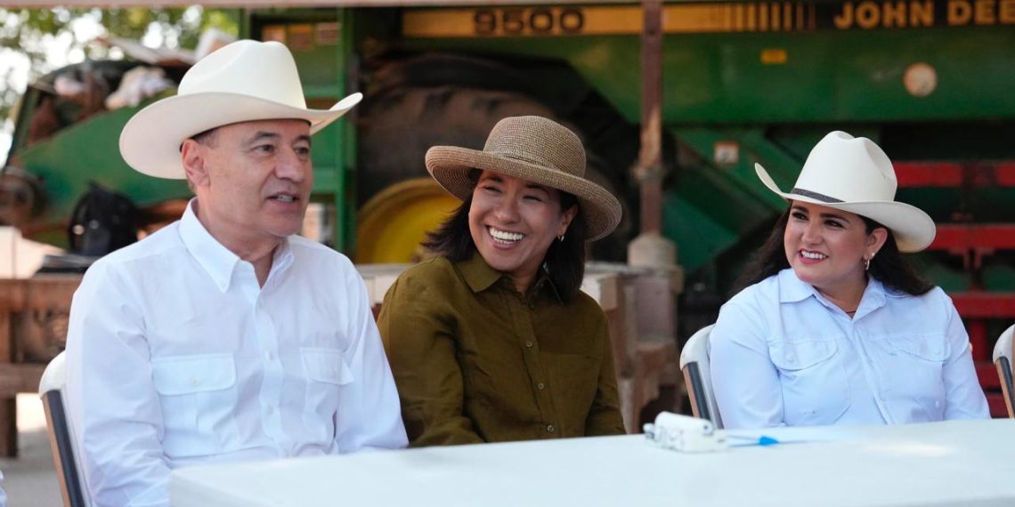 Gobierno de Sonora y Federación respaldan a productores de trigo cristalino con apoyos directos